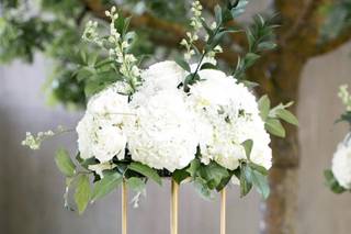 Lovely Peonies - 116