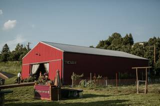 Nostrano Vineyards - 28