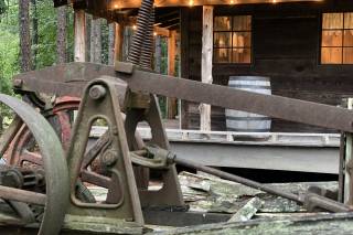 Shady Wagon Farm - 10