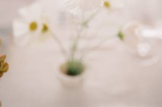 Emblem Flowers - 5