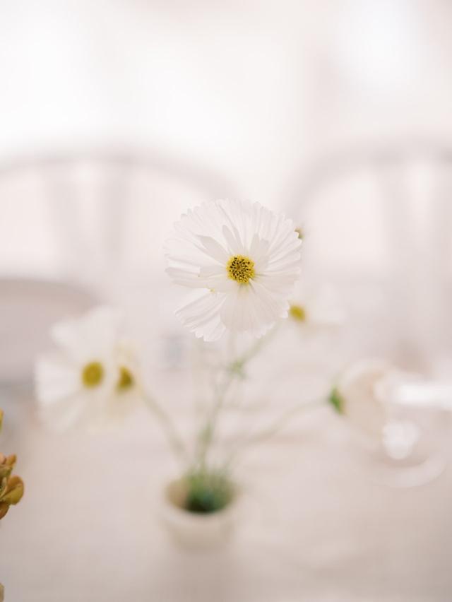 Emblem Flowers - 1