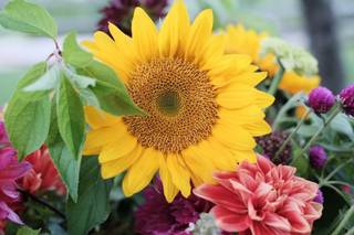 Sweethaven Farm & Flowers - 24