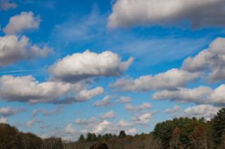 Gaudium Photography - 6