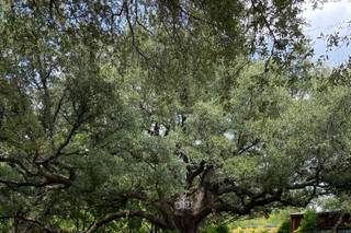Trickle Creek Ranch & Events - 39