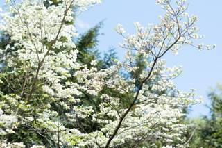 Anne Rhett Photography - 6