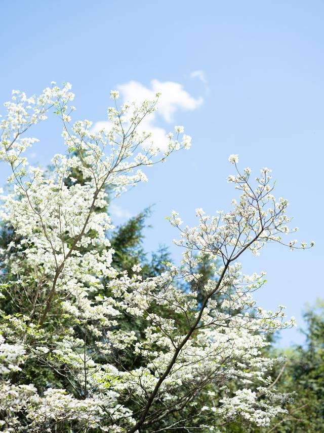 Anne Rhett Photography - 1