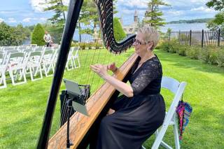 The Elegant Harp - 17