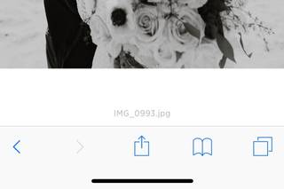 Brandi Brooks Photography - 23