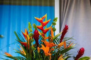 Shannon Sasaki Photography - 18