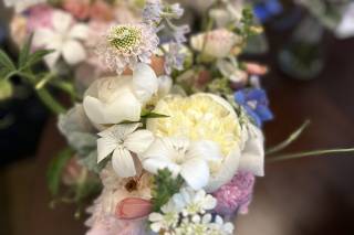 Botaniq Blooms - 8