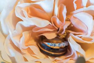 Zam Photography - 6
