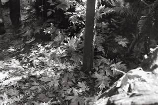 Weddings In The Wild - 47