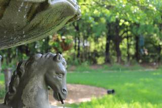 Azle Deer Cove - 19