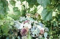 MICHELLE LEE PHOTOGRAPHY - 5