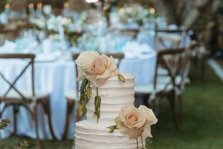 ARTISTIC CAKES - 5