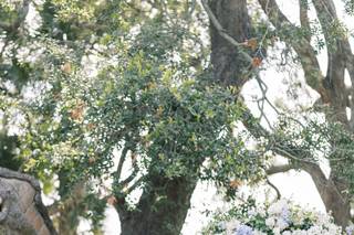 Kasey King Wedding Officiant - 48