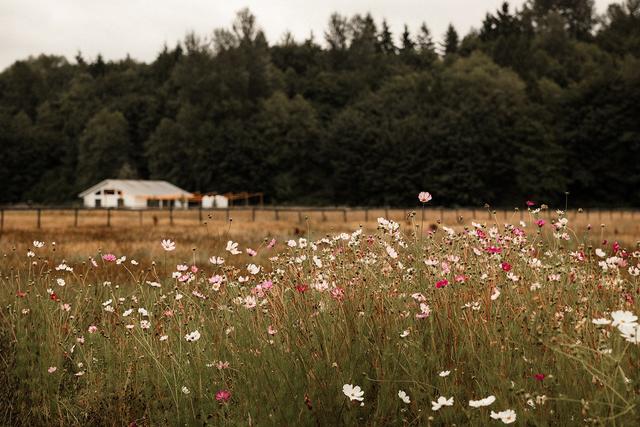 The Bannan House Farm - 3