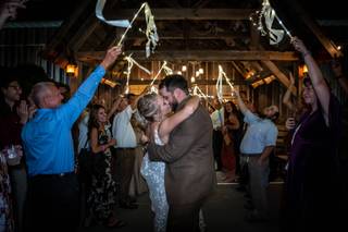 blackcap photography - 9