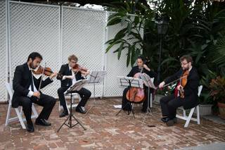 NOLA String Quartet - 1