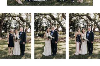 Wisteria Designs - 8