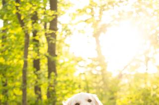 Jess Sinatra Photography - 29