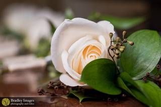 Nadine De Leon Designs - 30