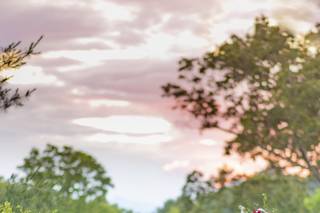 Victoria Grace Photography - 20