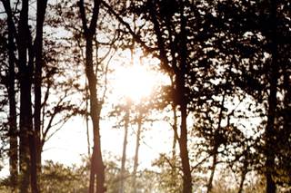 Olga Gurton Photography - 14