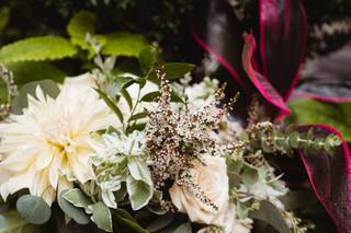EcoWilde Weddings - 22