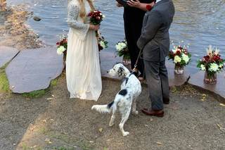 A Wedding in a Wink - 14