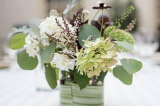 WISTERIA - 15