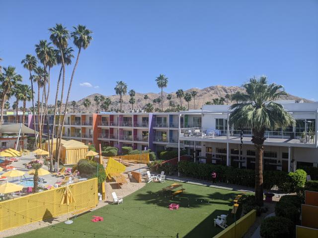The Saguaro - 1