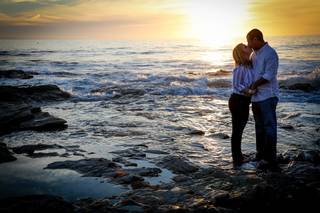 Olive Grove Photo - 10