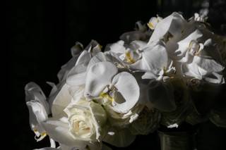 Dahlia Floral & Event Design - 142