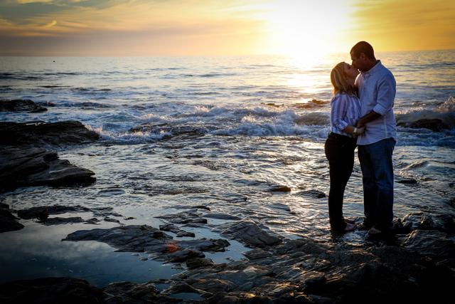 Olive Grove Photo - 3