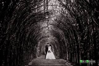 Michael King - Artlook Photography 2