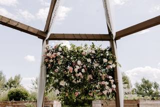 Blossoms Flower House - 7
