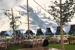 Stellaluna Events - 30