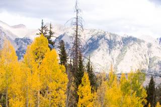 Alexi Hubbell Photography - 7