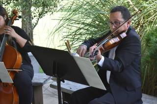 Viol Consort - 25