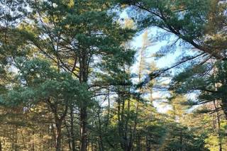 Pinehills Golf Club 