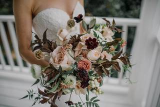 Plume Events - 27