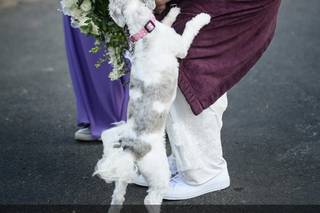 Mark Creery Photography - 25