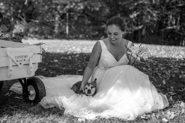 Oakview Photography 4