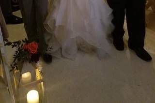 A Bed of Roses - 6