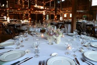 jill hoyle photography - 38