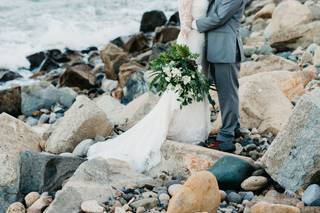 Honey Photographs - 8