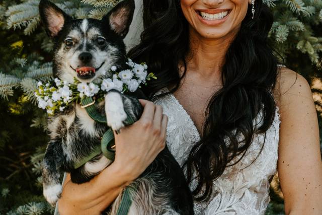 Alicia + Harrison Photography 3