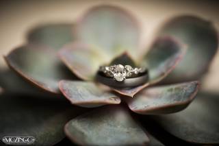 Mozingo Photography - 18