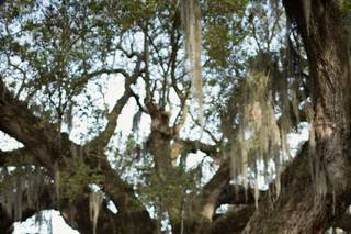 April Renae Photography - 8